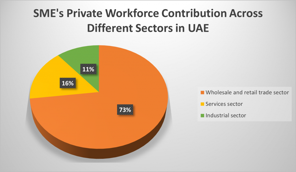 SME Private Workforce SME in UAE: What are the different fintech players in UAE for SMEs?