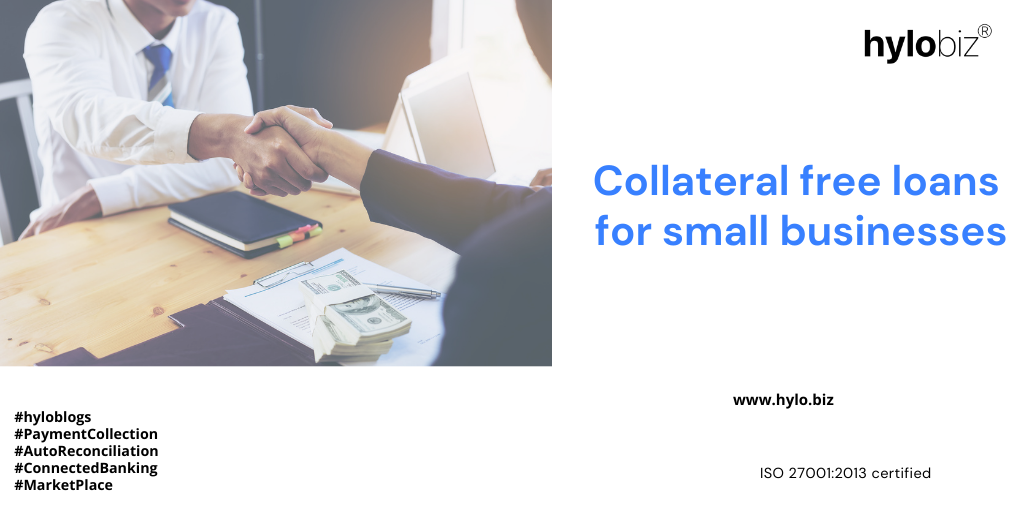Image of collateral-free-loans-for-small-businesses-hylobiz.